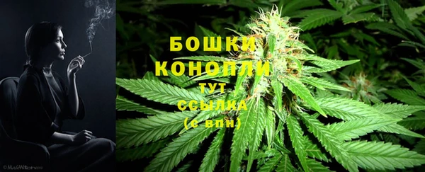 гашишное масло Пересвет