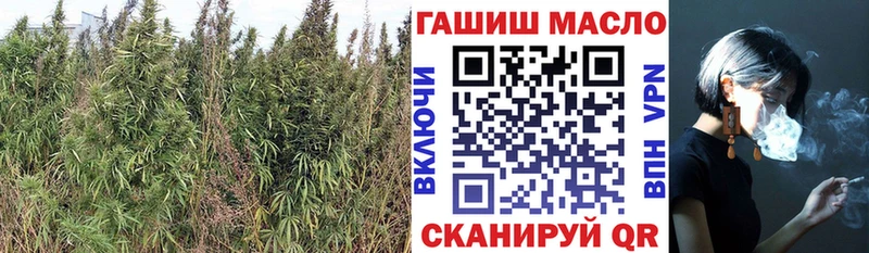 Дистиллят ТГК вейп с тгк  OMG tor  Разумное  магазин продажи  